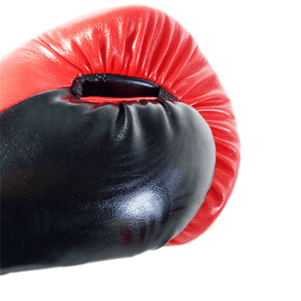 Adult Boxing Gloves - Anam Online
