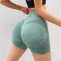 Fitness Yoga Shorts Pants Butt Lifting Seamless Leggings Women Gym - Anam Online